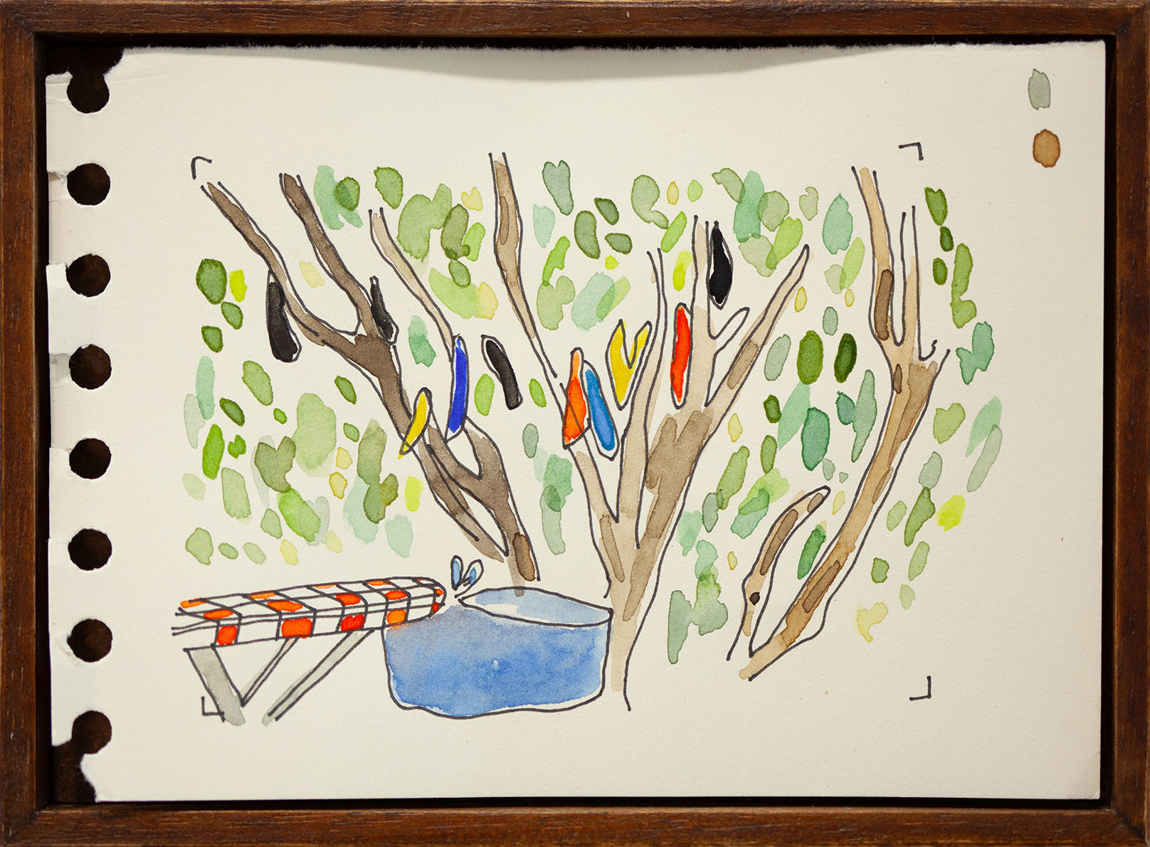 L'arbre à culotte